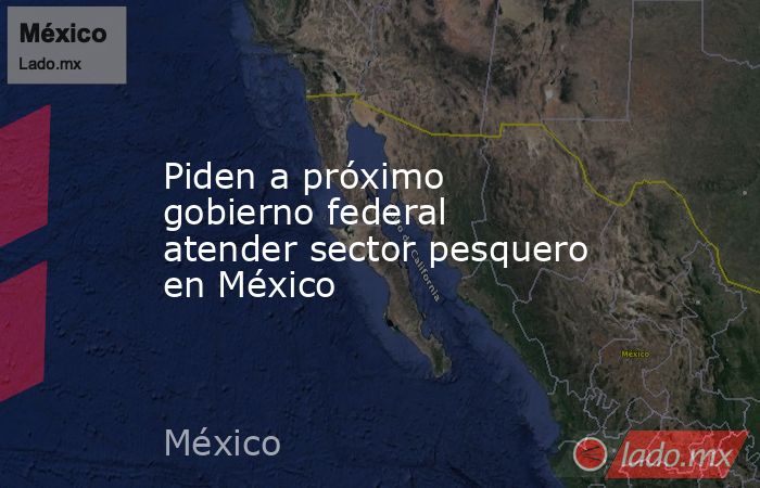 Piden a próximo gobierno federal atender sector pesquero en México. Noticias en tiempo real