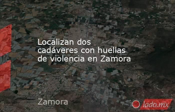 Localizan dos cadáveres con huellas de violencia en Zamora. Noticias en tiempo real
