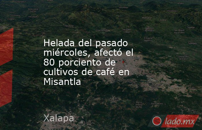 Helada del pasado miércoles, afectó el 80 porciento de cultivos de café en Misantla. Noticias en tiempo real