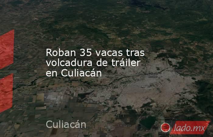Roban 35 vacas tras volcadura de tráiler en Culiacán. Noticias en tiempo real