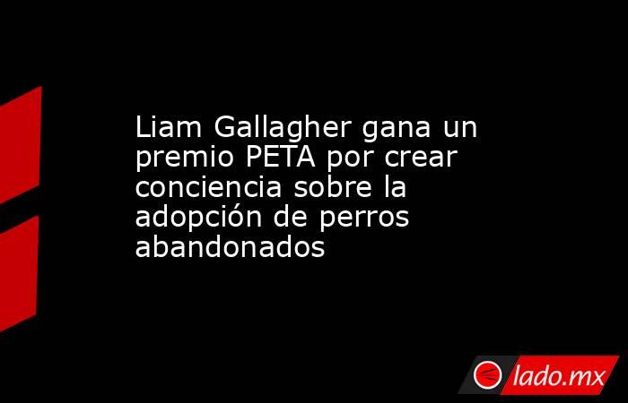 Liam Gallagher gana un premio PETA por crear conciencia sobre la adopción de perros abandonados. Noticias en tiempo real