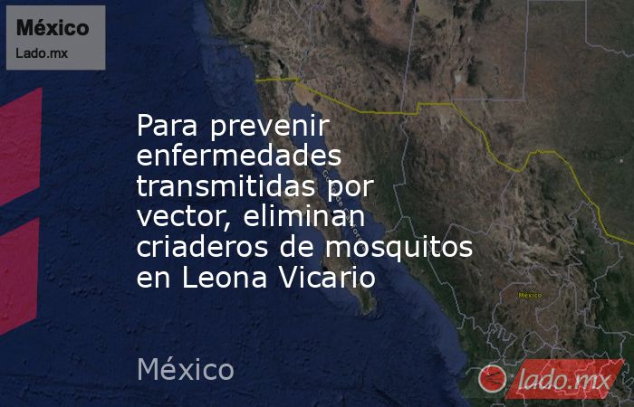 Para prevenir enfermedades transmitidas por vector, eliminan criaderos de mosquitos en Leona Vicario. Noticias en tiempo real