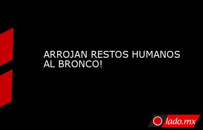 ARROJAN RESTOS HUMANOS AL BRONCO!. Noticias en tiempo real