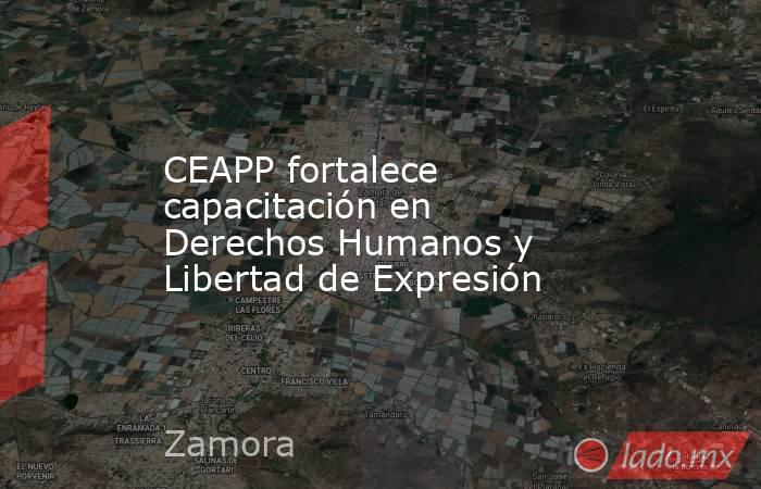 CEAPP fortalece capacitación en Derechos Humanos y Libertad de Expresión . Noticias en tiempo real