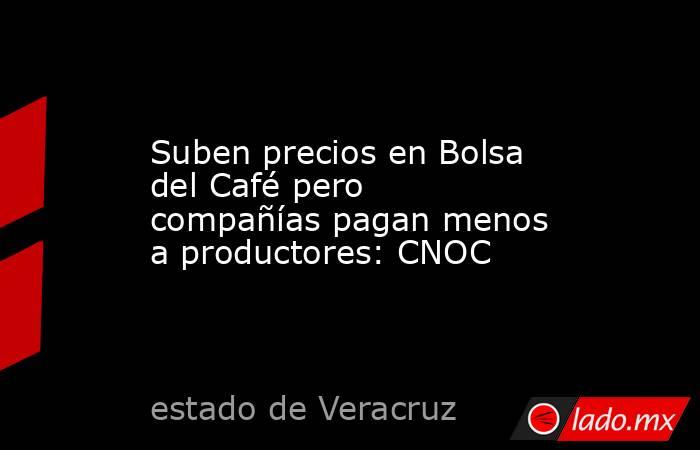 Suben precios en Bolsa del Café pero compañías pagan menos a productores: CNOC. Noticias en tiempo real
