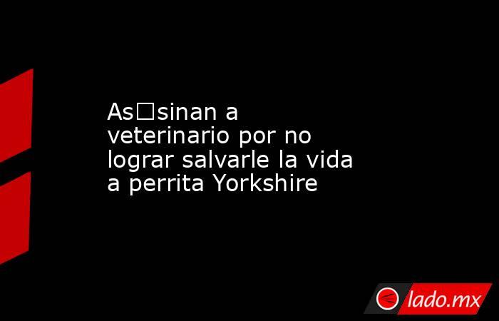 As€sinan a veterinario por no lograr salvarle la vida a perrita Yorkshire. Noticias en tiempo real