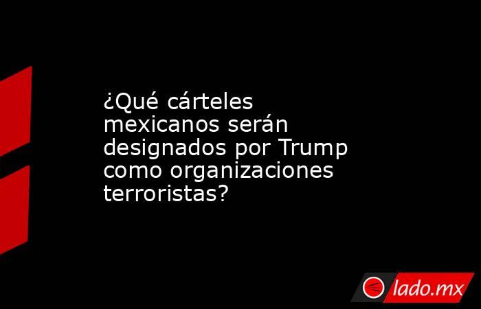 ¿Qué cárteles mexicanos serán designados por Trump como organizaciones terroristas? . Noticias en tiempo real