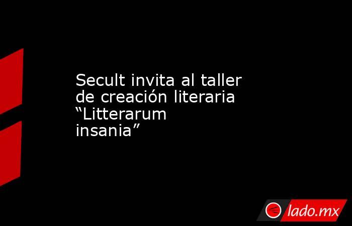 Secult invita al taller de creación literaria “Litterarum insania”. Noticias en tiempo real