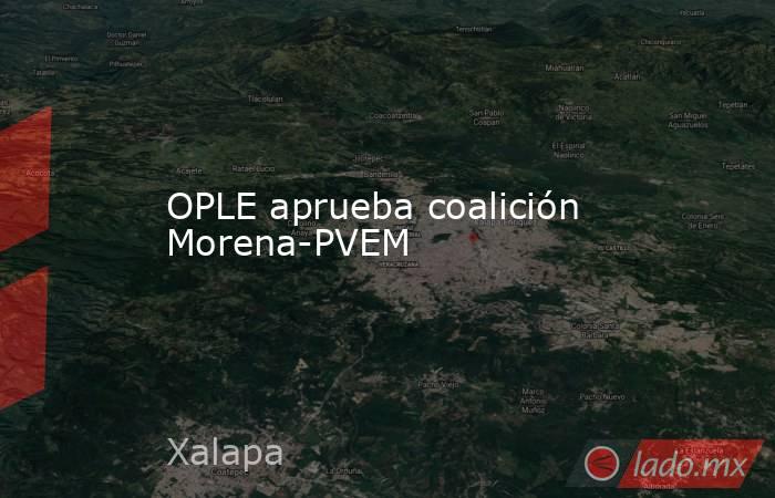 OPLE aprueba coalición Morena-PVEM. Noticias en tiempo real