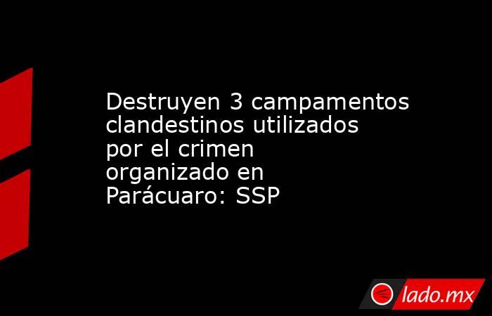 Destruyen 3 campamentos clandestinos utilizados por el crimen organizado en Parácuaro: SSP. Noticias en tiempo real