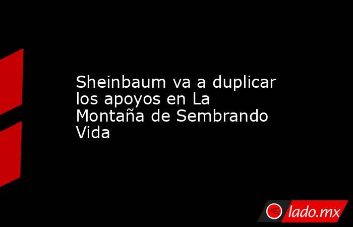 Sheinbaum va a duplicar los apoyos en La Montaña de Sembrando Vida. Noticias en tiempo real
