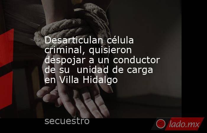 Desarticulan célula criminal, quisieron despojar a un conductor de su  unidad de carga en Villa Hidalgo. Noticias en tiempo real