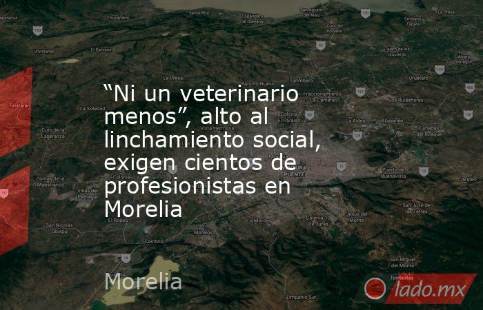“Ni un veterinario menos”, alto al linchamiento social, exigen cientos de profesionistas en Morelia. Noticias en tiempo real