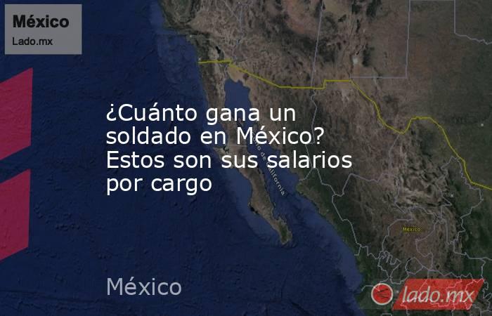 ¿Cuánto gana un soldado en México? Estos son sus salarios por cargo. Noticias en tiempo real