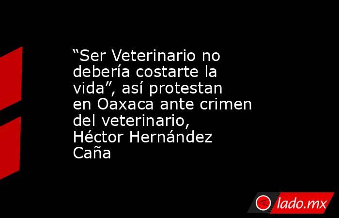 “Ser Veterinario no debería costarte la vida”, así protestan en Oaxaca ante crimen del veterinario,  Héctor Hernández Caña. Noticias en tiempo real
