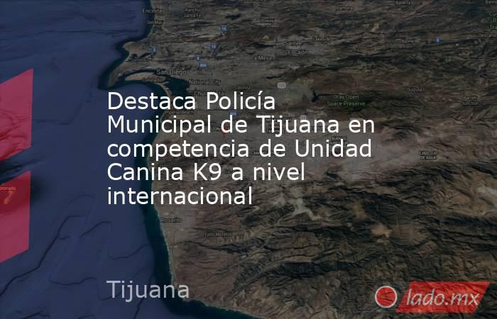 Destaca Policía Municipal de Tijuana en competencia de Unidad Canina K9 a nivel internacional. Noticias en tiempo real