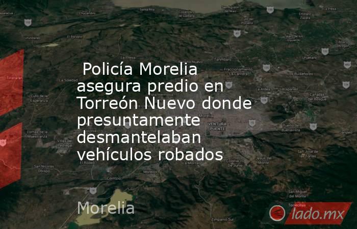 Policía Morelia asegura predio en Torreón Nuevo donde presuntamente desmantelaban vehículos robados. Noticias en tiempo real