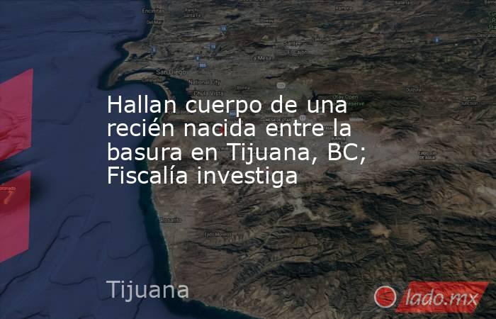 Hallan cuerpo de una recién nacida entre la basura en Tijuana, BC; Fiscalía investiga. Noticias en tiempo real