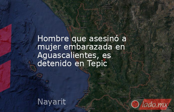 Hombre que asesinó a mujer embarazada en Aguascalientes, es detenido en Tepic. Noticias en tiempo real