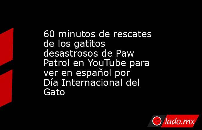 60 minutos de rescates de los gatitos desastrosos de Paw Patrol en YouTube para ver en español por Día Internacional del Gato. Noticias en tiempo real