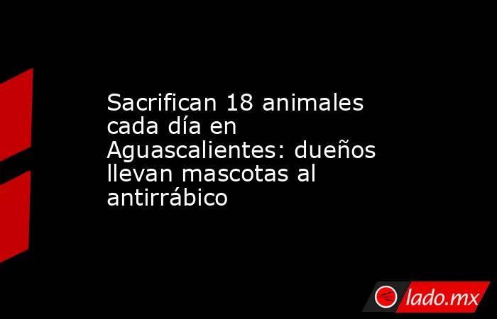 Sacrifican 18 animales cada día en Aguascalientes: dueños llevan mascotas al antirrábico. Noticias en tiempo real