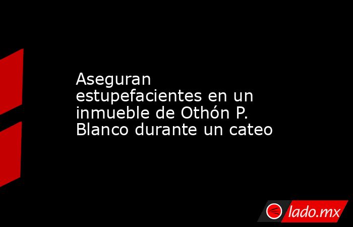 Aseguran estupefacientes en un inmueble de Othón P. Blanco durante un cateo. Noticias en tiempo real
