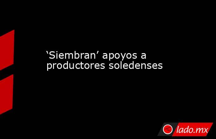 ‘Siembran’ apoyos a productores soledenses. Noticias en tiempo real