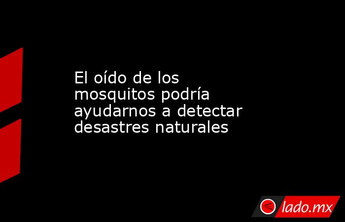 El oído de los mosquitos podría ayudarnos a detectar desastres naturales. Noticias en tiempo real