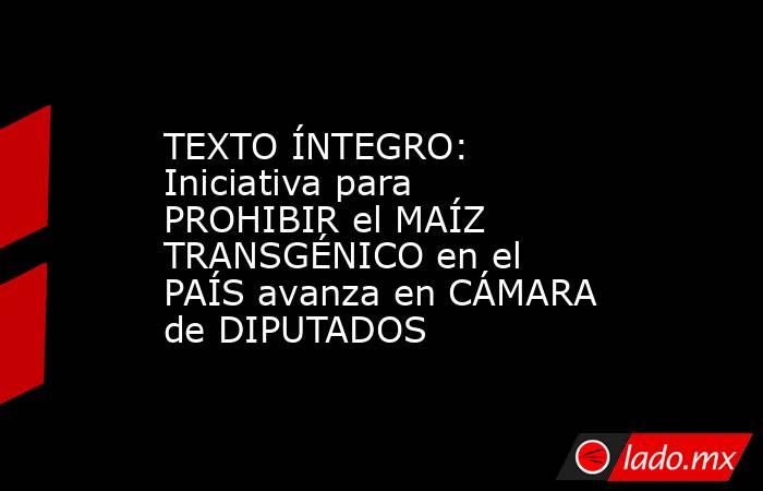 TEXTO ÍNTEGRO: Iniciativa para PROHIBIR el MAÍZ TRANSGÉNICO en el PAÍS avanza en CÁMARA de DIPUTADOS. Noticias en tiempo real