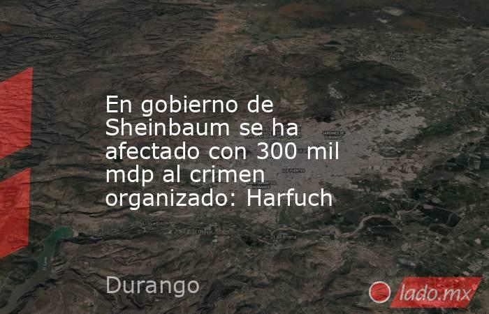En gobierno de Sheinbaum se ha afectado con 300 mil mdp al crimen organizado: Harfuch. Noticias en tiempo real
