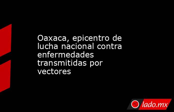 Oaxaca, epicentro de lucha nacional contra enfermedades transmitidas por vectores. Noticias en tiempo real