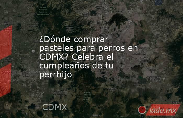 ¿Dónde comprar pasteles para perros en CDMX? Celebra el cumpleaños de tu perrhijo . Noticias en tiempo real