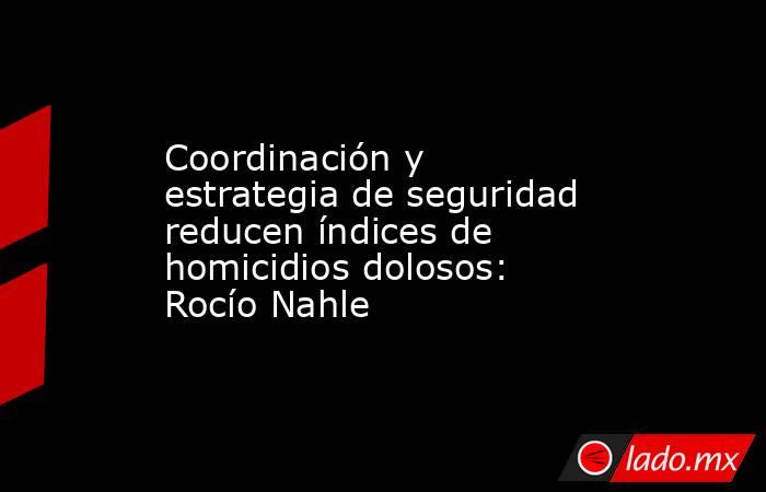 Coordinación y estrategia de seguridad reducen índices de homicidios dolosos: Rocío Nahle. Noticias en tiempo real