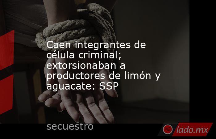 Caen integrantes de célula criminal; extorsionaban a productores de limón y aguacate: SSP. Noticias en tiempo real