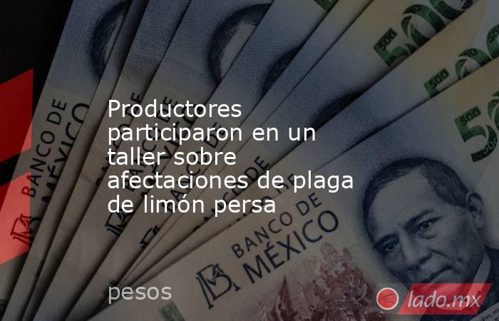 Productores participaron en un taller sobre afectaciones de plaga de limón persa. Noticias en tiempo real