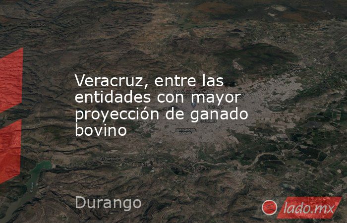 Veracruz, entre las entidades con mayor proyección de ganado bovino. Noticias en tiempo real