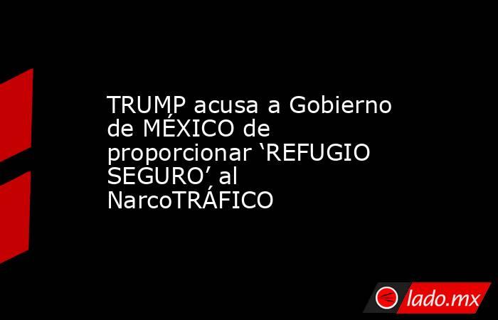 TRUMP acusa a Gobierno de MÉXICO de proporcionar ‘REFUGIO SEGURO’ al NarcoTRÁFICO. Noticias en tiempo real