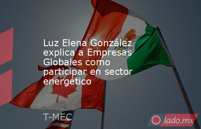 Luz Elena González explica a Empresas Globales como participar en sector energético. Noticias en tiempo real