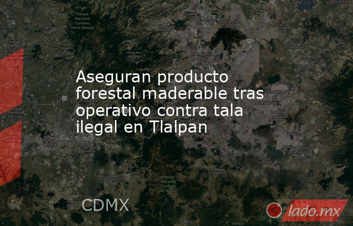 Aseguran producto forestal maderable tras operativo contra tala ilegal en Tlalpan. Noticias en tiempo real