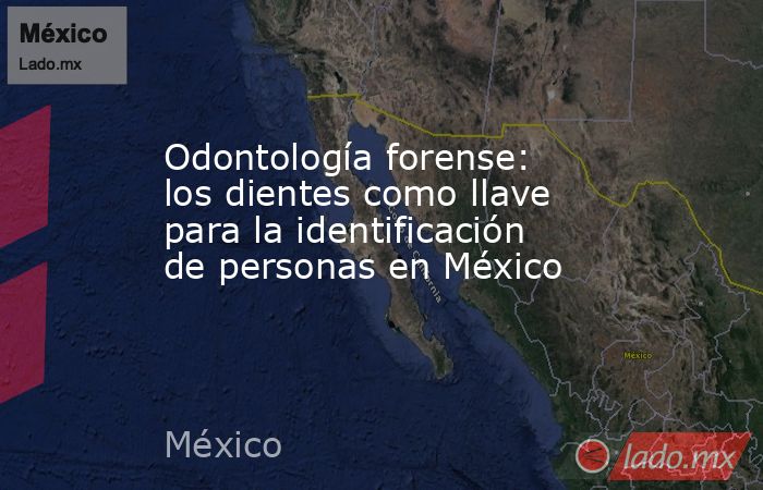 Odontología forense: los dientes como llave para la identificación de personas en México. Noticias en tiempo real