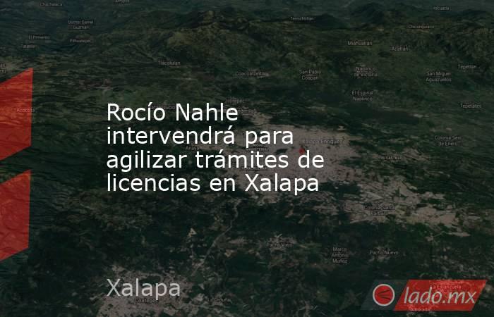 Rocío Nahle intervendrá para agilizar trámites de licencias en Xalapa. Noticias en tiempo real