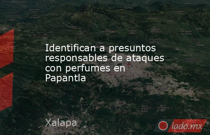 Identifican a presuntos responsables de ataques con perfumes en Papantla. Noticias en tiempo real
