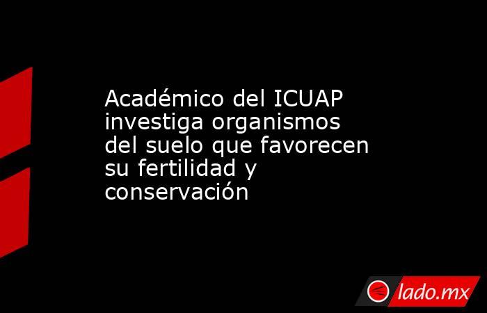 Académico del ICUAP investiga organismos del suelo que favorecen su fertilidad y conservación. Noticias en tiempo real