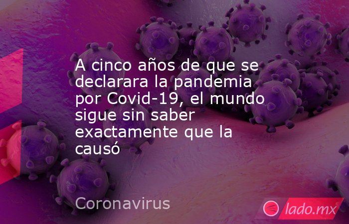 A cinco años de que se declarara la pandemia por Covid-19, el mundo sigue sin saber exactamente que la causó. Noticias en tiempo real