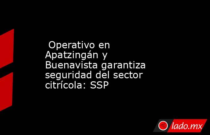  Operativo en Apatzingán y Buenavista garantiza seguridad del sector citrícola: SSP. Noticias en tiempo real