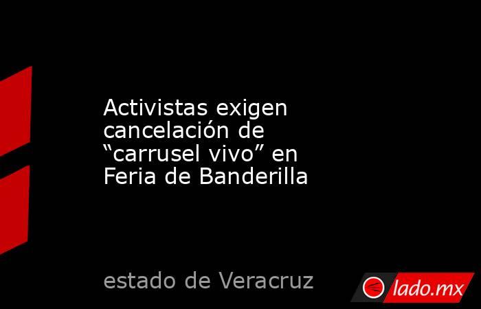 Activistas exigen cancelación de “carrusel vivo” en Feria de Banderilla. Noticias en tiempo real