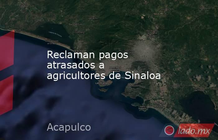 Reclaman pagos atrasados a agricultores de Sinaloa. Noticias en tiempo real