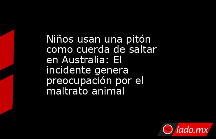 Niños usan una pitón como cuerda de saltar en Australia: El incidente genera preocupación por el maltrato animal. Noticias en tiempo real