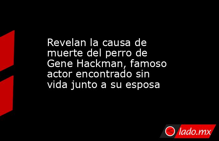 Revelan la causa de muerte del perro de Gene Hackman, famoso actor encontrado sin vida junto a su esposa. Noticias en tiempo real