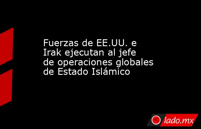 Fuerzas de EE.UU. e Irak ejecutan al jefe de operaciones globales de Estado Islámico. Noticias en tiempo real